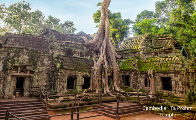 Cambodia - Ta Prohm Temple